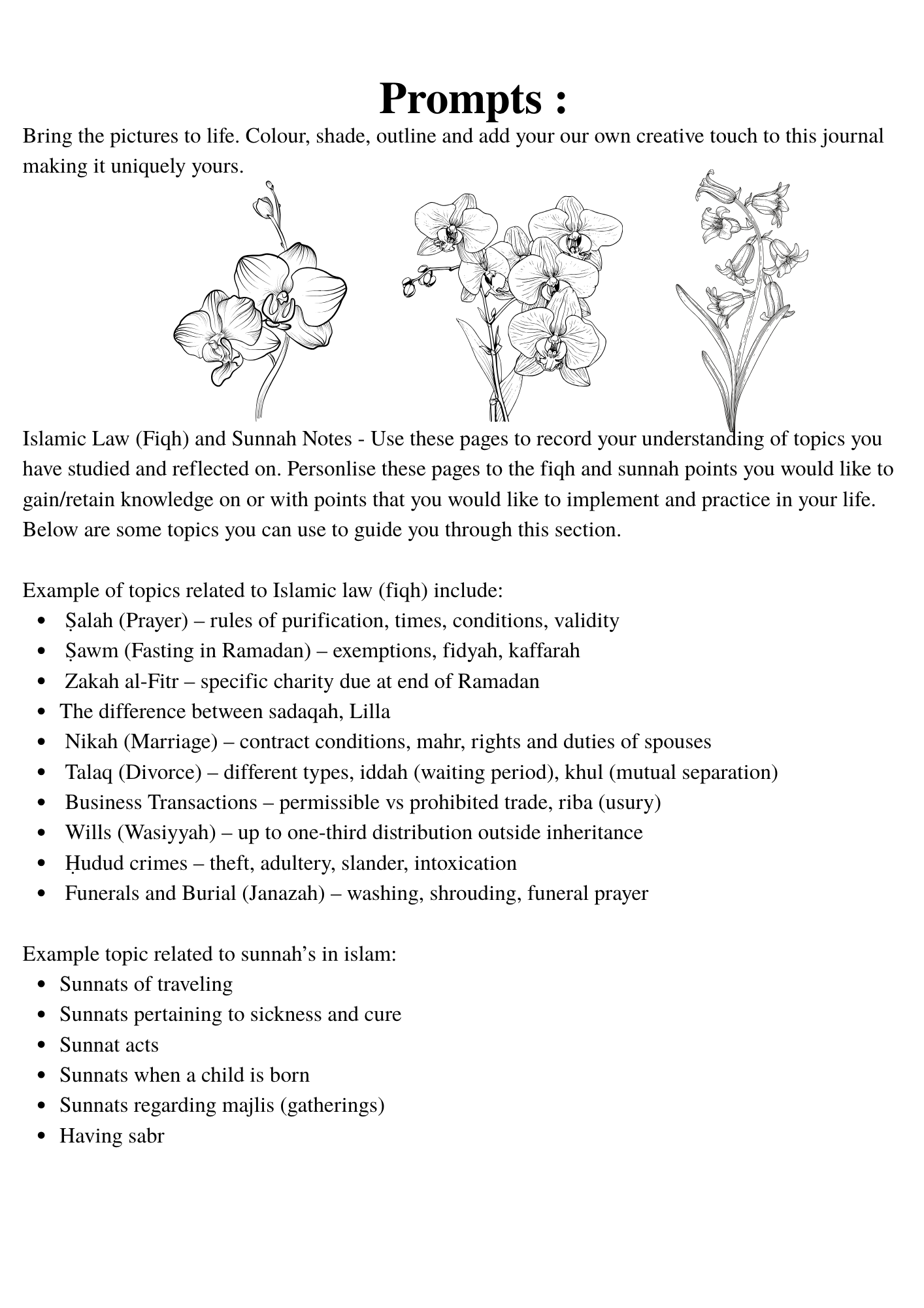 Islamic Journals - Book 3: Stedfast Steps